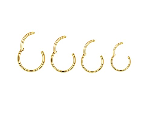 HQLA 4Pcs 18G Surgical Steel Hinged Clicker Segment Nose Rings Hoop Helix Cartilage Daith Tragus Sleeper Earrings Body Piercing for Women Men 6mm 8mm 10mm 12mm (18G - Gold - (6mm-12mm) - 4PCs) - Image 5
