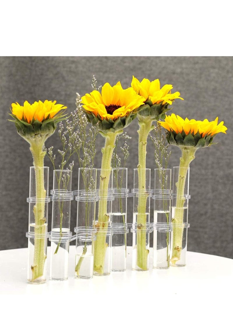 SOLARAE Test Tube Vase Crystal Glass Flower Pots Plant Cultivation Can be Placed in Living Rooms Desktop Terrarium DIY 8 Hydroponic Plants Home Garden Decoration with Brush 15x2.2CM - Image 4
