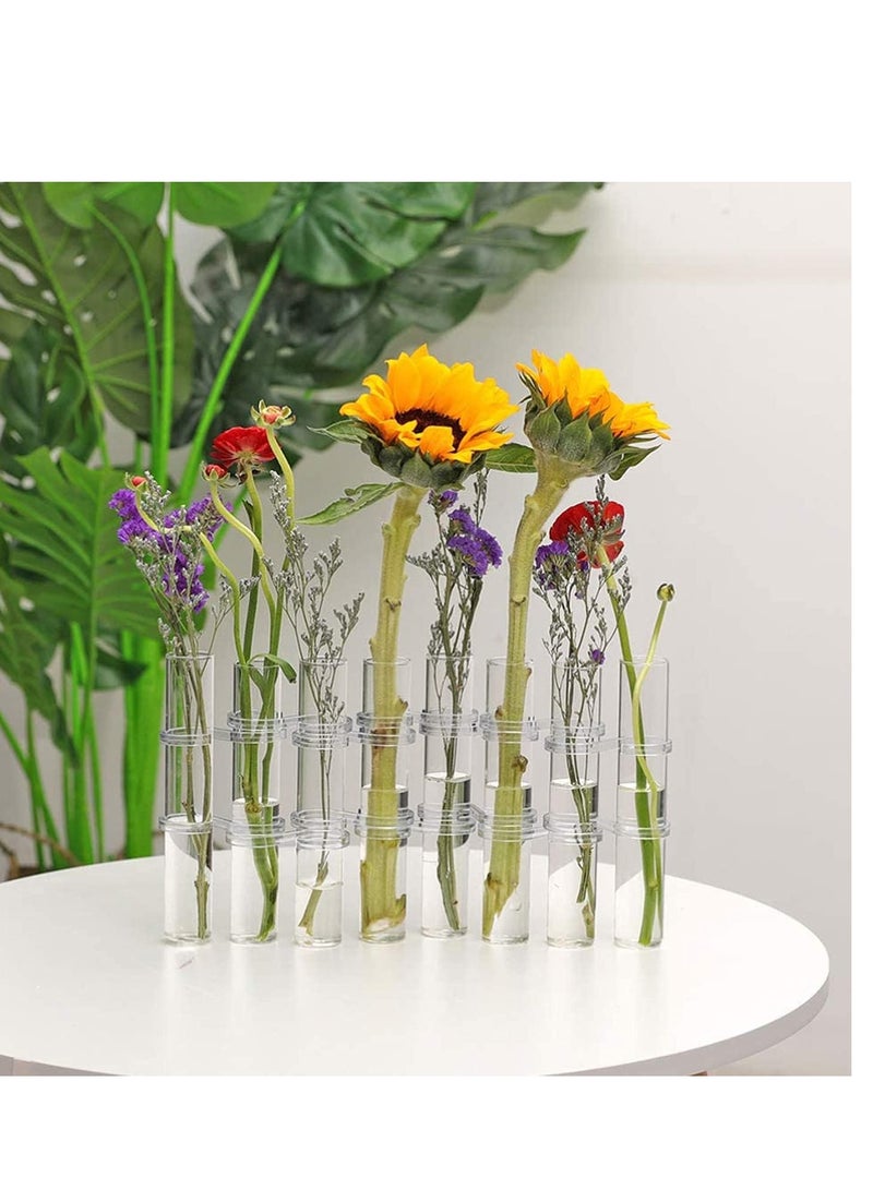 SOLARAE Test Tube Vase Crystal Glass Flower Pots Plant Cultivation Can be Placed in Living Rooms Desktop Terrarium DIY 8 Hydroponic Plants Home Garden Decoration with Brush 15x2.2CM - Image 2