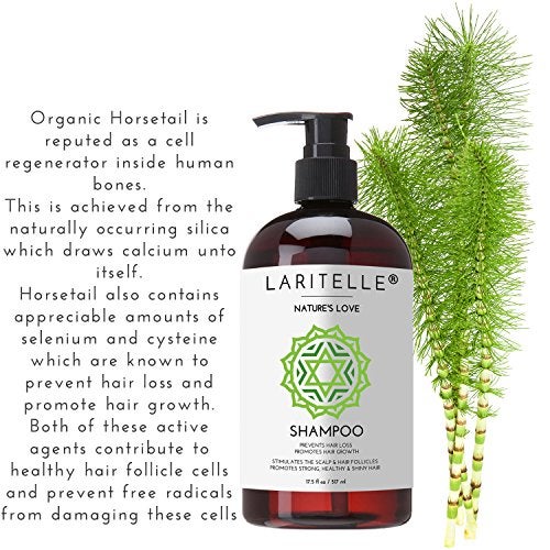 Laritelle Organic Hair Growth Set Shampoo 17 oz Conditioner 16 oz Hair Loss Treatment 4 oz Organic Quinoa Keratin Rosemary Ginger Grapefruit NO GMO SLS Gluten Parabens Phthalates - Image 5