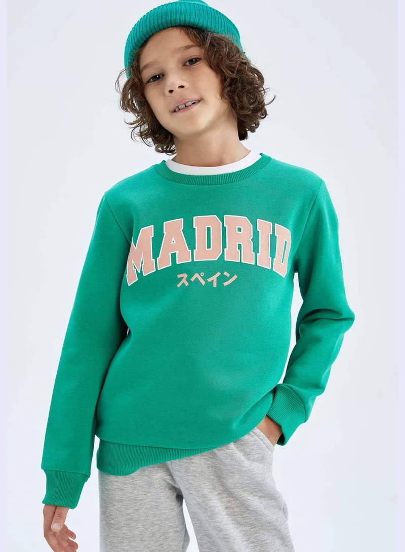 DeFacto Boy Regular Fit Crew Neck Long Sleeve Knitted Sweatshirt