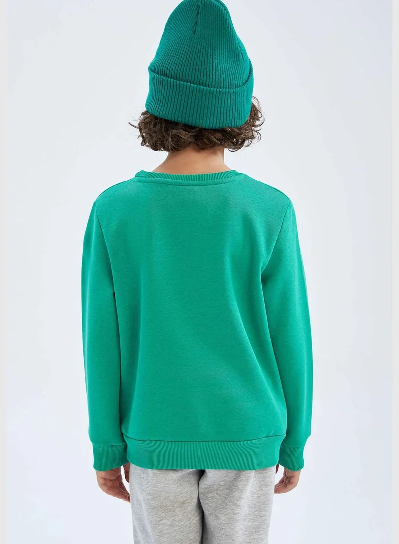 DeFacto Boy Regular Fit Crew Neck Long Sleeve Knitted Sweatshirt