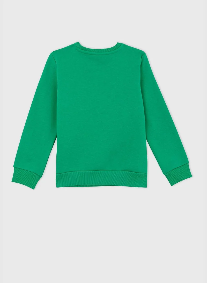 DeFacto Boy Regular Fit Crew Neck Long Sleeve Knitted Sweatshirt