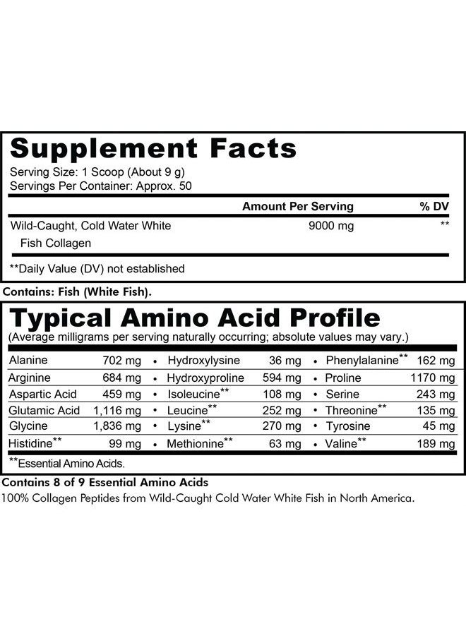 Codeage - Marine Collagen Powder - Wild-Caught Hydrolyzed Fish Collagen Peptides - Type 1 & 3 Collagen Protein Supplement - Amino Acids for Skin, Hair, Nails - Paleo Friendly, Non-GMO, 15.87 Ounces - Image 1