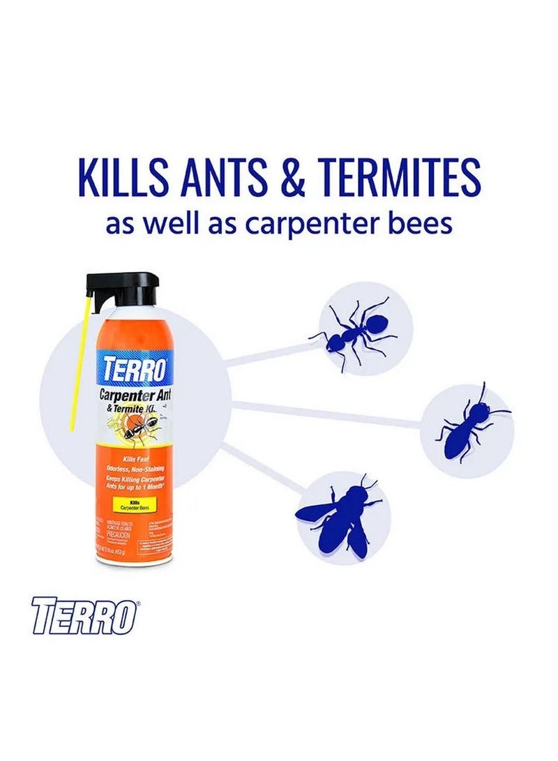 Carpenter Ant & Termite Killer Spray 453 G
