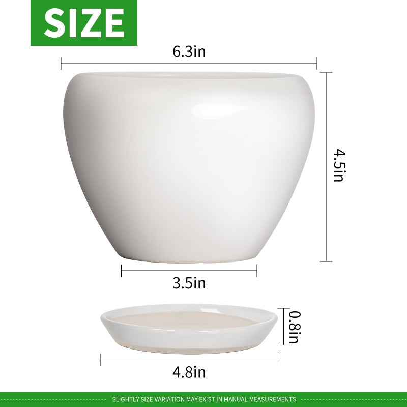 DEEPDREAM Deep Dream 6 Inch Plant Pot - Ceramic Planter with Drainage Hole and Trays, Modern Round Flower Pot, Planters for Indoor Outdoor Plants, Home Garden Decor, White - Image 3