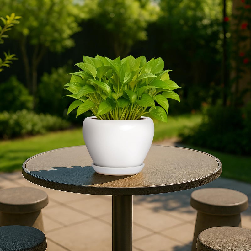 DEEPDREAM Deep Dream 6 Inch Plant Pot - Ceramic Planter with Drainage Hole and Trays, Modern Round Flower Pot, Planters for Indoor Outdoor Plants, Home Garden Decor, White - Image 2