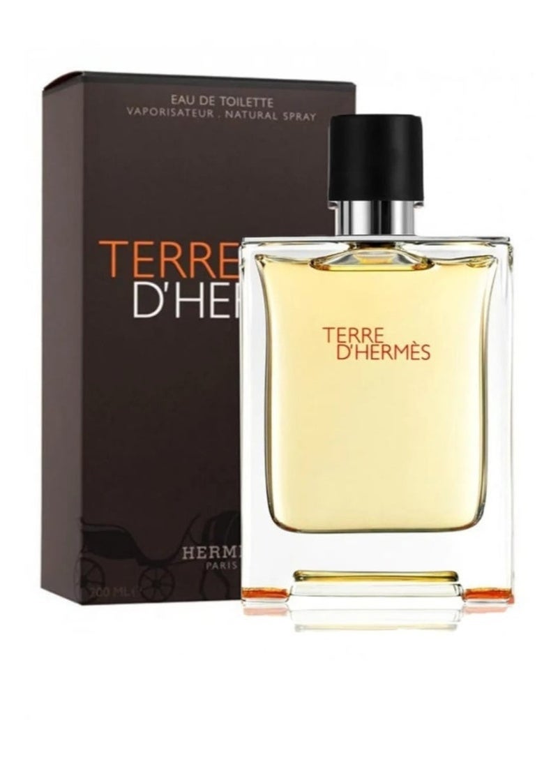Terre d'Hermes 100 ml