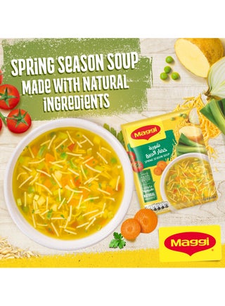 Spring Season Soup - view 3