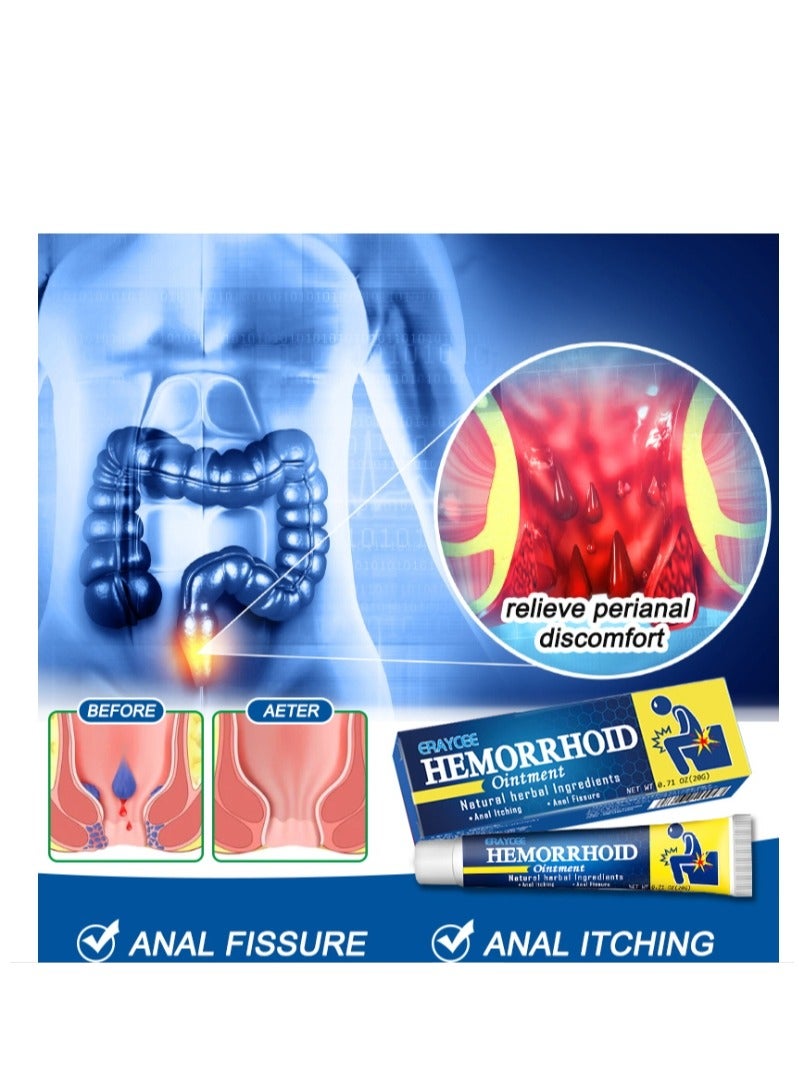 ERAYCEE Hemorrhoid Ointment Hemorrhoid Treatment Hemorrhoid and Fissure Ointment Fast Relief Hemorrhoid Cream Healing Formula Fast Acting Treatment Hemorrhoid Symptom Ointment 20g  - Image 4