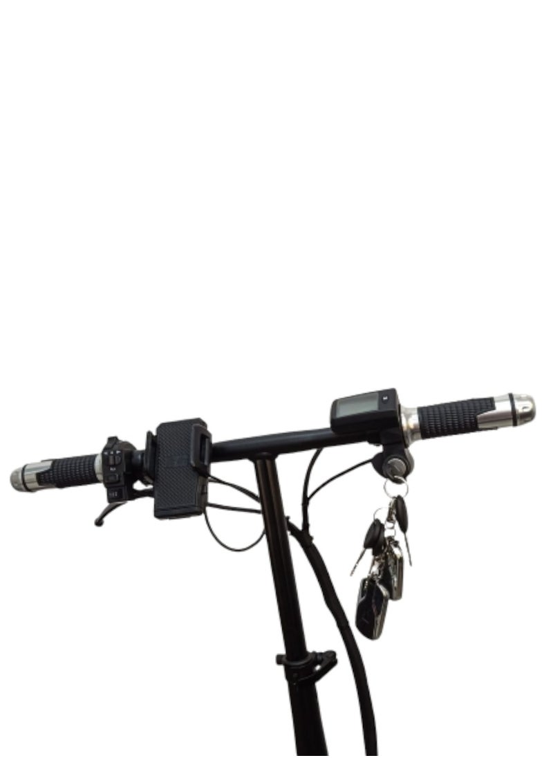 ROHAN WINGS - Rohan Wings K2 Foldable Electric Bike Lithium Battery - Image 1