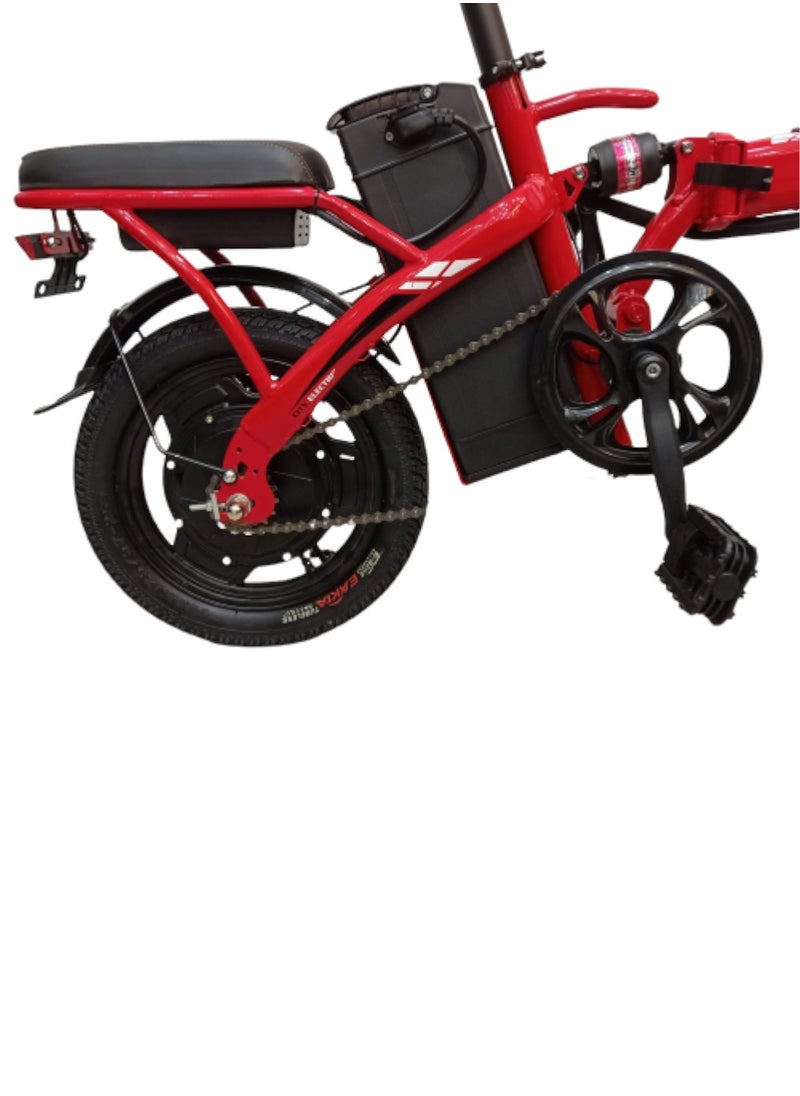 ROHAN WINGS - Rohan Wings K2 Foldable Electric Bike Lithium Battery - Image 1