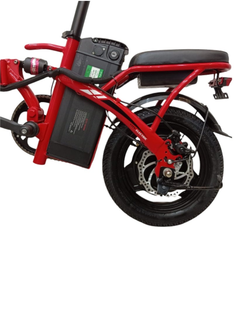 ROHAN WINGS - Rohan Wings K2 Foldable Electric Bike Lithium Battery - Image 1