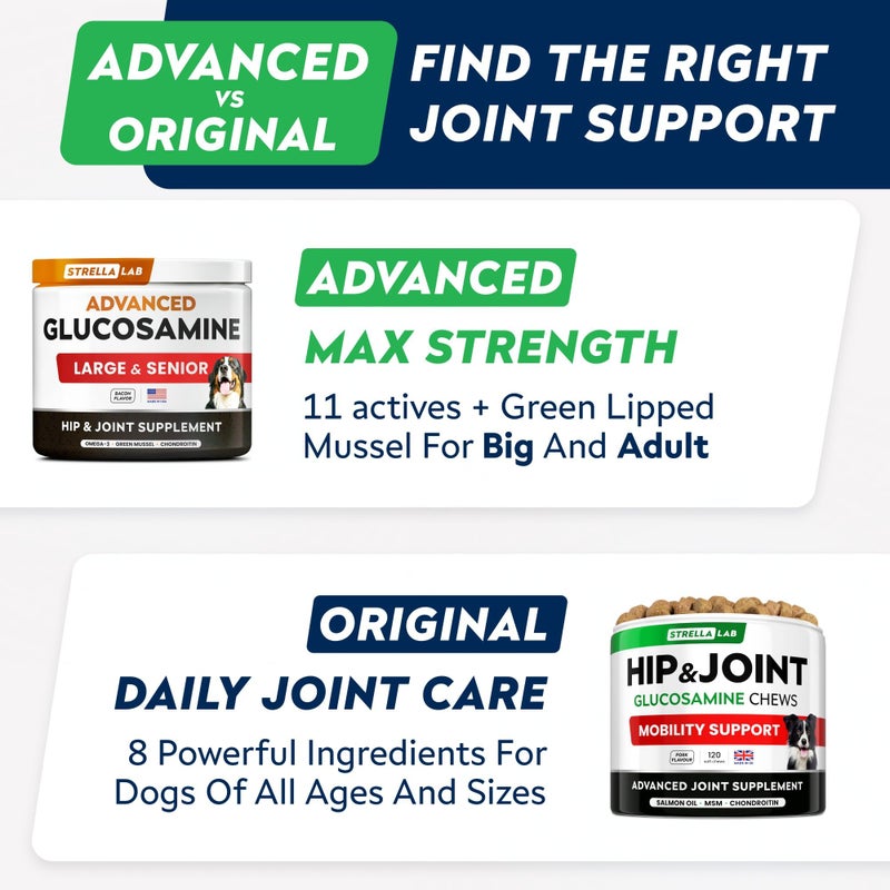 StrellaLab Advanced Glucosamine Hip & Joint Supplement for Senior Dogs - Green Lipped Mussel & Collagen - Hip & Joint Pain Relief - Large & Small Breed - Joint Health - Bacon - 120 Chews - Image 3