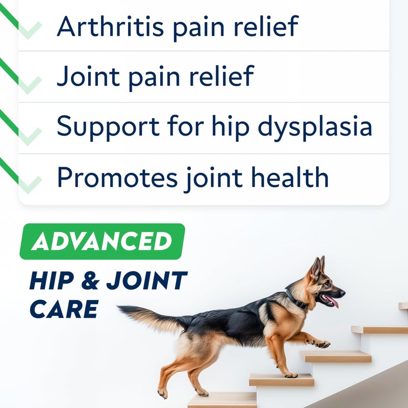 StrellaLab Advanced Glucosamine Hip & Joint Supplement for Senior Dogs - Green Lipped Mussel & Collagen - Hip & Joint Pain Relief - Large & Small Breed - Joint Health - Bacon - 120 Chews - Image 2