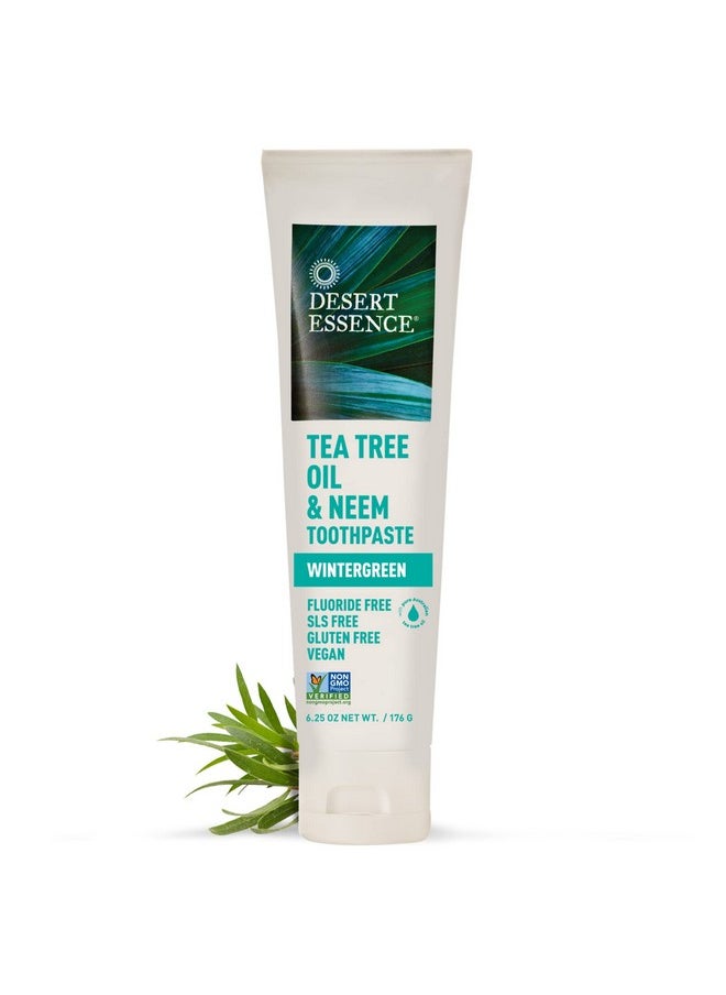 ديزيرت أسينس - معجون أسنان Desert Essence بزيت شجرة الشاي والنيم - تركيبة خالية من الفلورايد والغلوتين وSLS - معجون أسنان نباتي عشبي لتقليل البلاك - بنكهة وينترغرين، 6.25 أونصة - Image 1