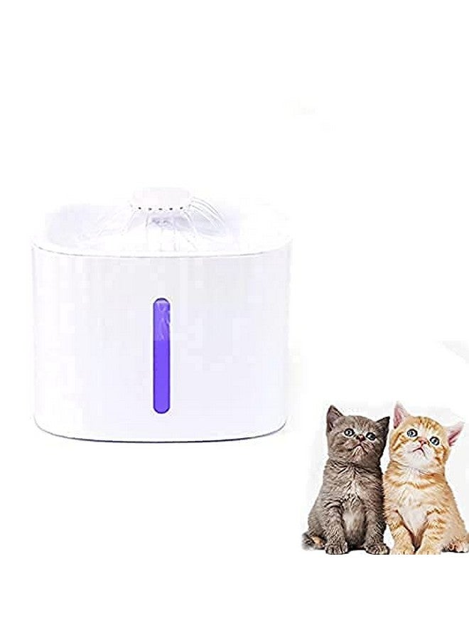 نافورة مياه شرب للحيوانات الأليفة - موزع مياه بلاستيكي بإضاءة LED أوتوماتيكية ونافورة شرب للحيوانات الأليفة بفلتر هادئ - Image 4