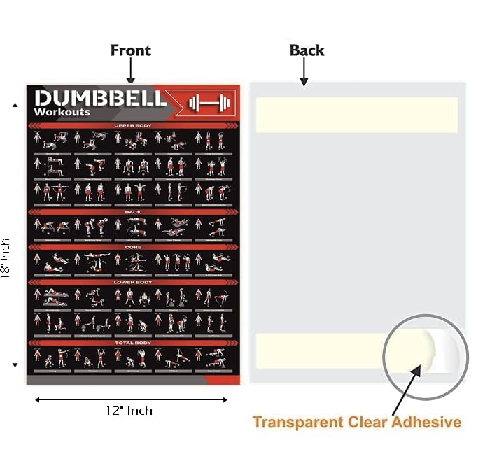 PIXELARTZ Wall Poster Motivational Dumbell Workout and Exercises Illustrations Bodybuilding Gym Posters HD Quality Posters for Home, Office, Room, Gym Wall - Image 5