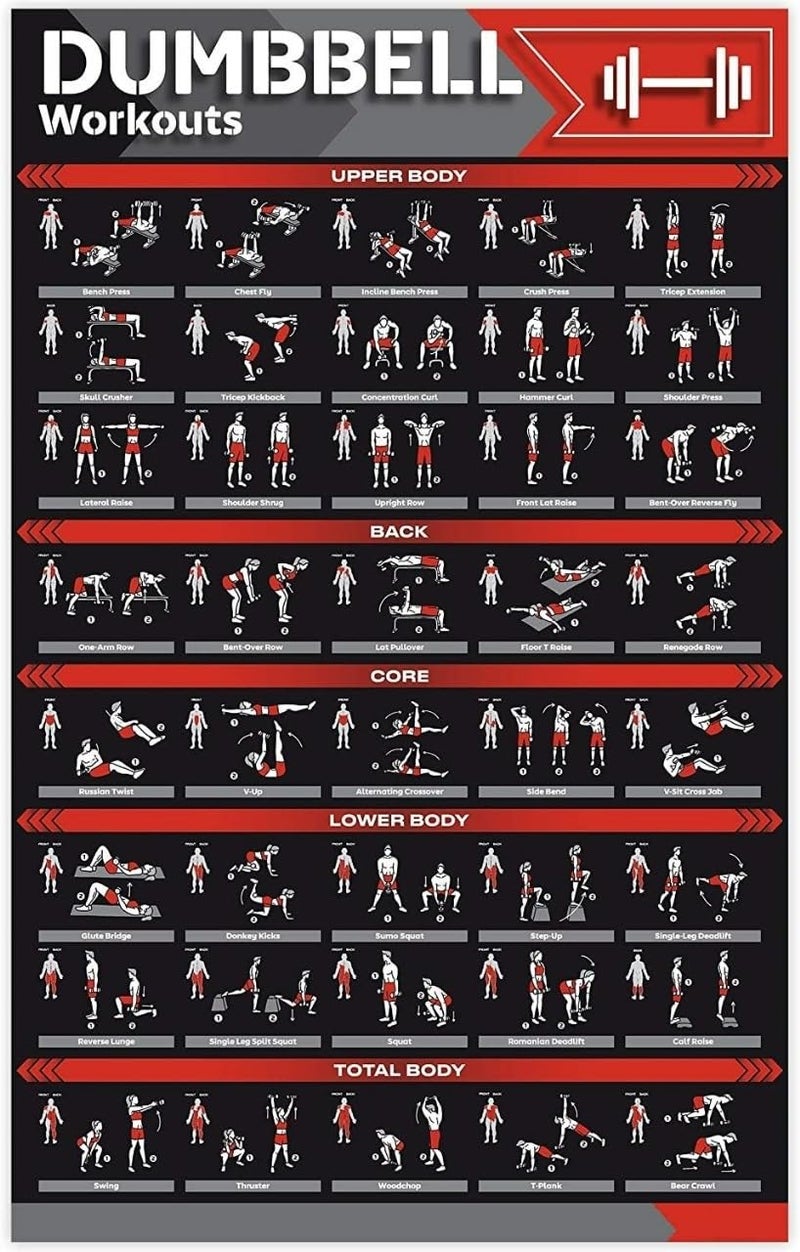 PIXELARTZ Wall Poster Motivational Dumbell Workout and Exercises Illustrations Bodybuilding Gym Posters HD Quality Posters for Home, Office, Room, Gym Wall - Image 1