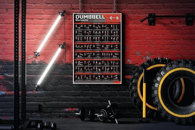 PIXELARTZ Wall Poster Motivational Dumbell Workout and Exercises Illustrations Bodybuilding Gym Posters HD Quality Posters for Home, Office, Room, Gym Wall - Image 2
