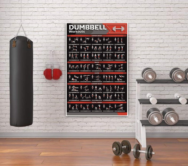 PIXELARTZ Wall Poster Motivational Dumbell Workout and Exercises Illustrations Bodybuilding Gym Posters HD Quality Posters for Home, Office, Room, Gym Wall - Image 3
