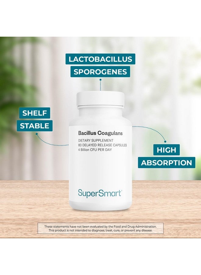 Supersmart Bacillus Coagulans Probiotic 4 Billion CFU per Day (High Absorption) - Lactobacillus Sporogenes Supplement | Non-GMO & Gluten Free - 60 Delayed Release Capsules - Image 2