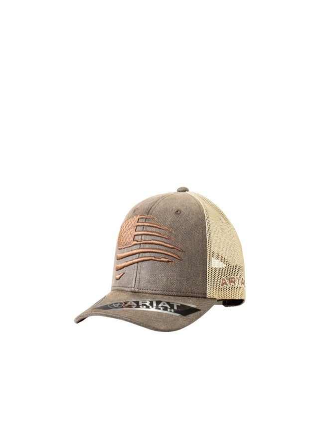 Ariat Youth Semi Curved Bill Cap with Distressed Flag, Brown - Image 1