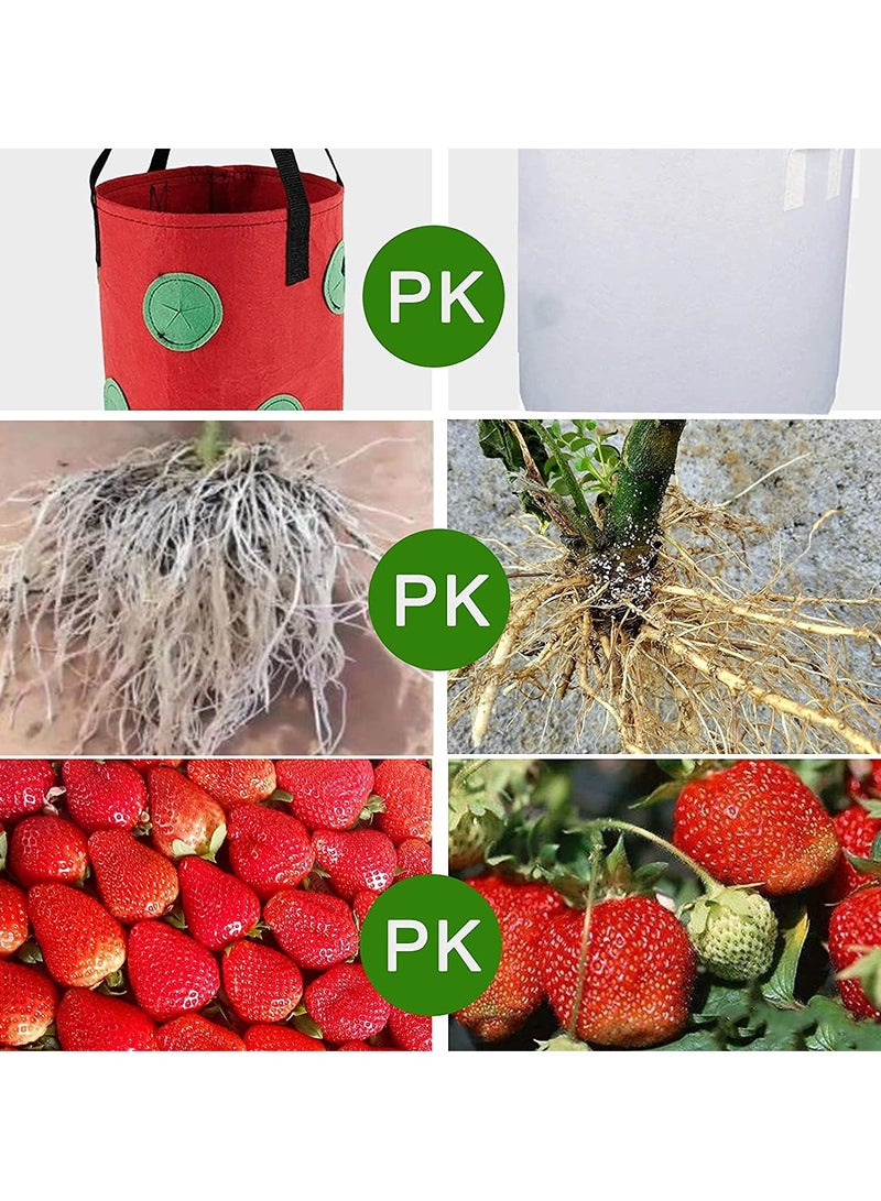 SOLARAE 3Pcs Strawberry Grow Bags, 3 Gallon Strawberry Planting Bags with 12 Planting Holes Sturdy Hanging Handle, Vegetables Grow Bags for Tomato Chili Strawberry Onion Potato (Green, Black, Red) - Image 5