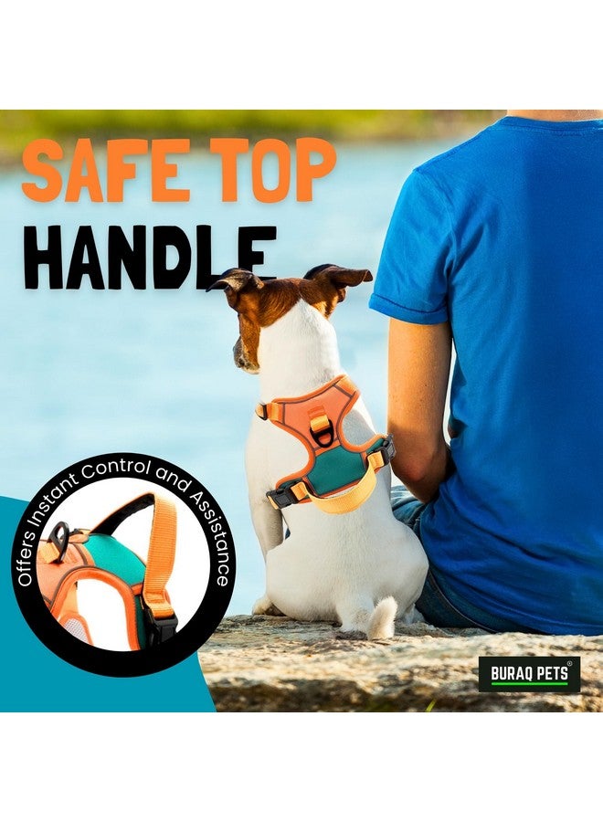 Buraq Pets Premium Dog Harness, Adjustable Dog Vest Harness, Heavy Duty Dog Belt, Perfect for Training, Walking, Running, Hiking, Comfortable & Secure Fit (S, Orange) - Image 5