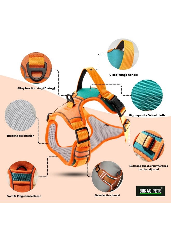 Buraq Pets Premium Dog Harness, Adjustable Dog Vest Harness, Heavy Duty Dog Belt, Perfect for Training, Walking, Running, Hiking, Comfortable & Secure Fit (S, Orange) - Image 4