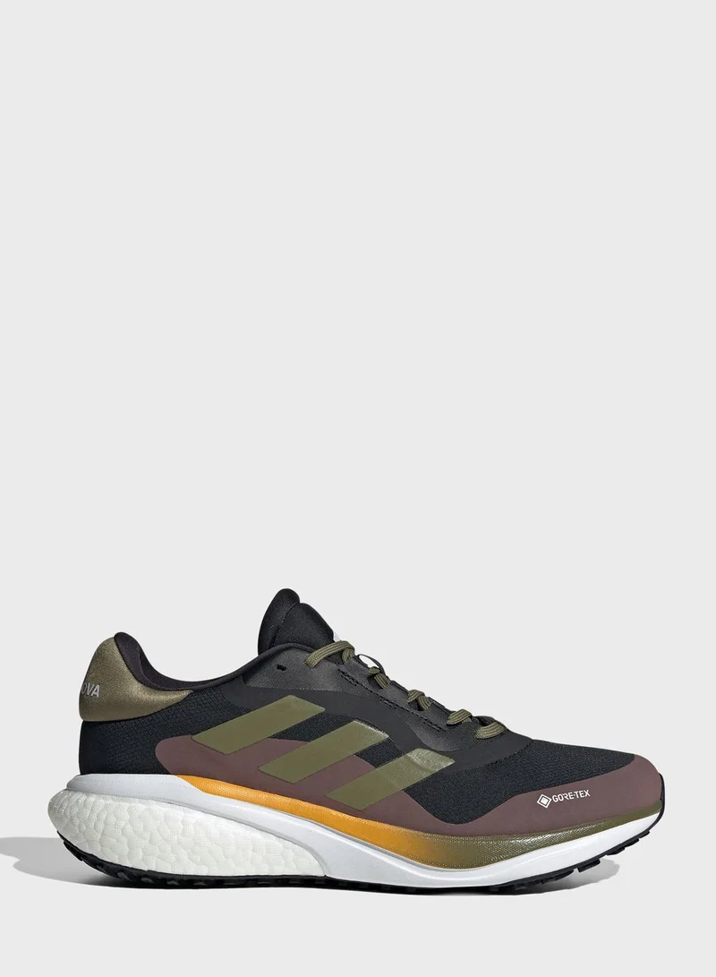 Adidas Supernova 3 Gtx Shoes
