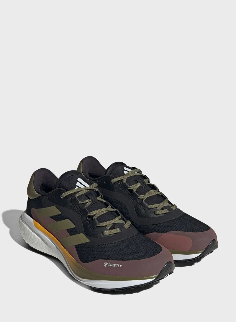 Adidas Supernova 3 Gtx Shoes