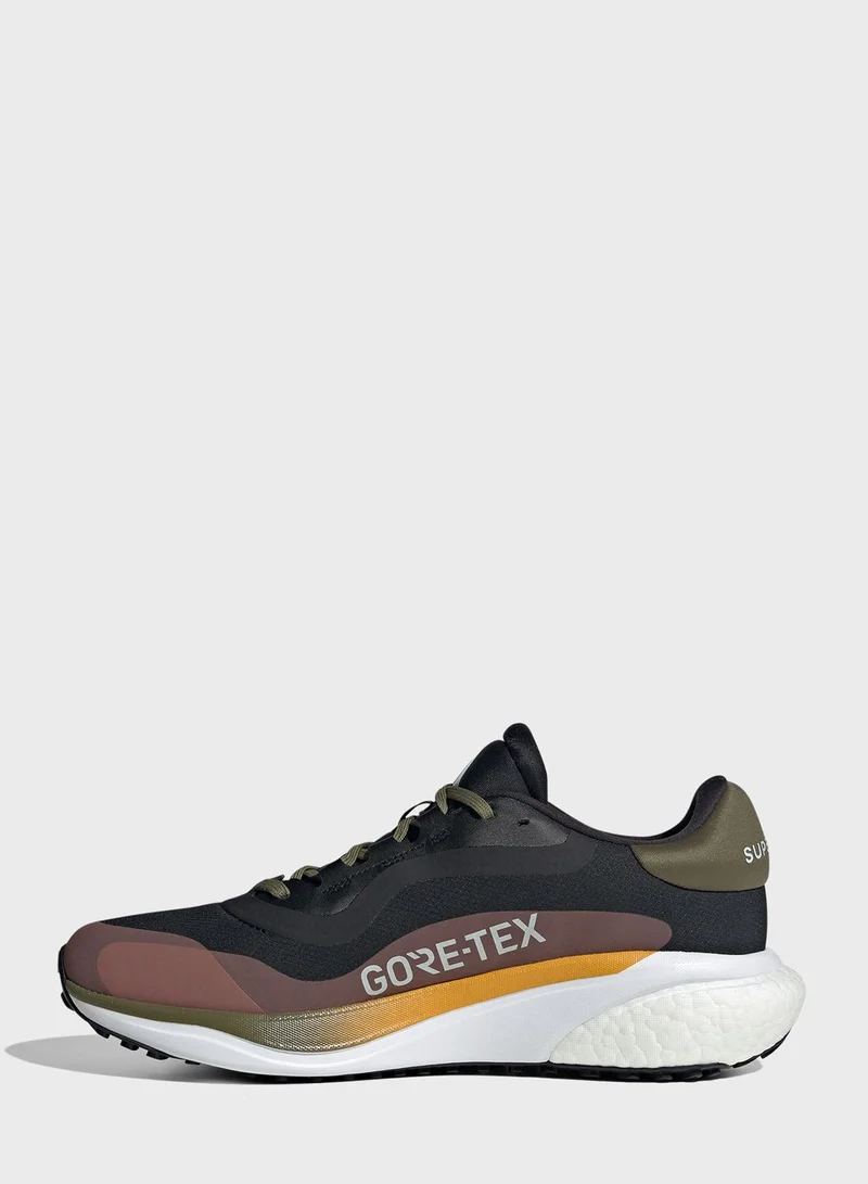 Adidas Supernova 3 Gtx Shoes