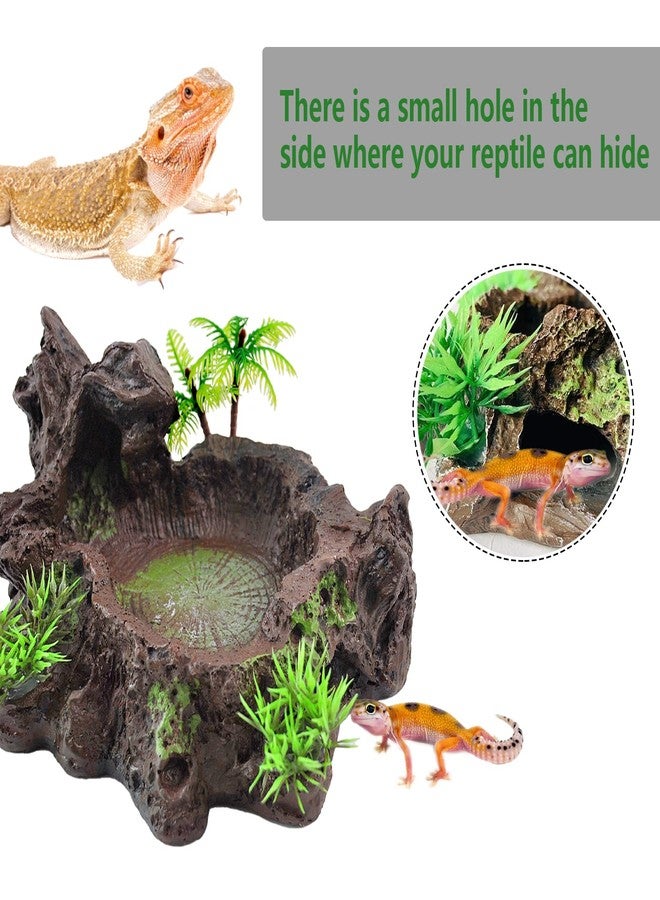 kathson Resin Reptile Bowl Bearded Dragon Food Dish Lizard Water Dish Reptiles Feeding Bowls with Feeder Tweezer for Leopard Gecko Tortoise Chameleon Water Frog Hermit Crab - Image 4