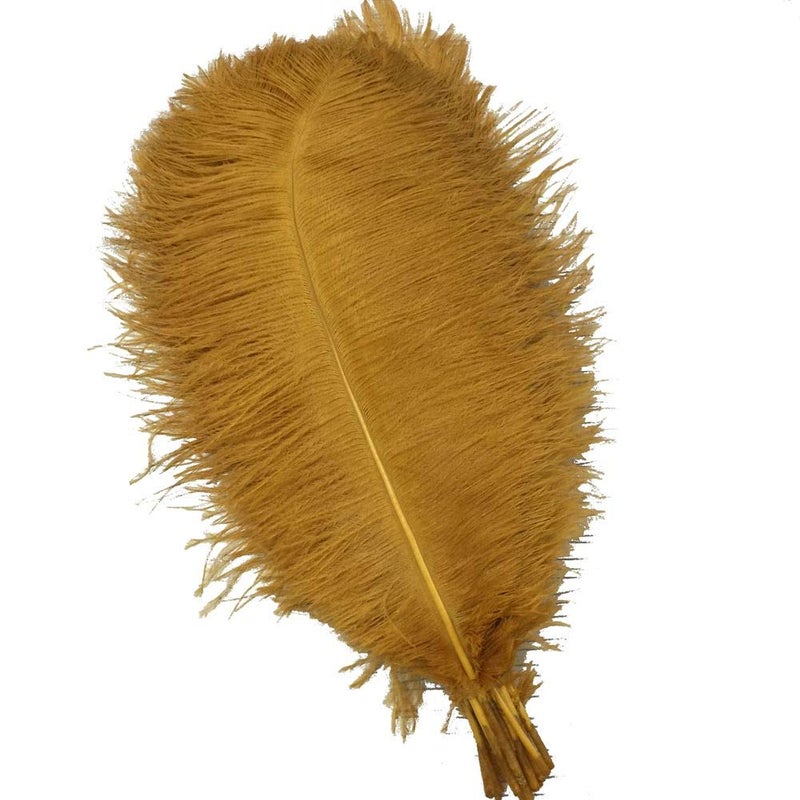 Shekyeon Gold 1618inch 4045cm Ostrich Feather DIY Craft Feather Pack of 10