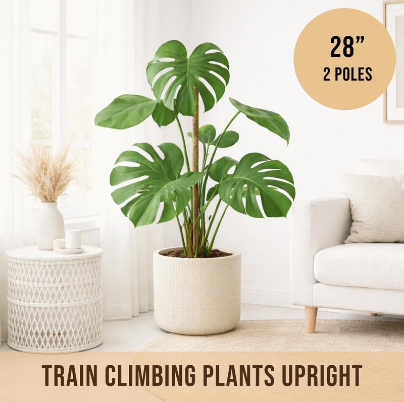 Craft911 Moss Pole Monstera Plant Support â€“ 2 Pack 28â€ Bendable Moss Pole Monstera Plant Support, Plant Stakes for Indoor Plants, Tall Plant Sticks Support for Climbing Plants - Image 4