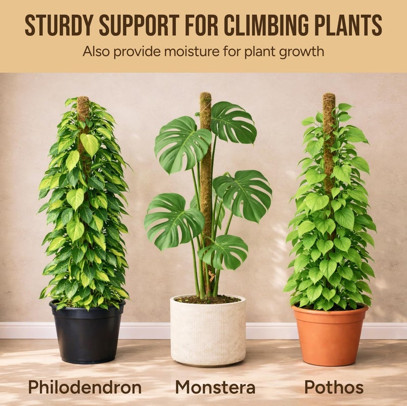 Craft911 Moss Pole Monstera Plant Support â€“ 2 Pack 28â€ Bendable Moss Pole Monstera Plant Support, Plant Stakes for Indoor Plants, Tall Plant Sticks Support for Climbing Plants - Image 5