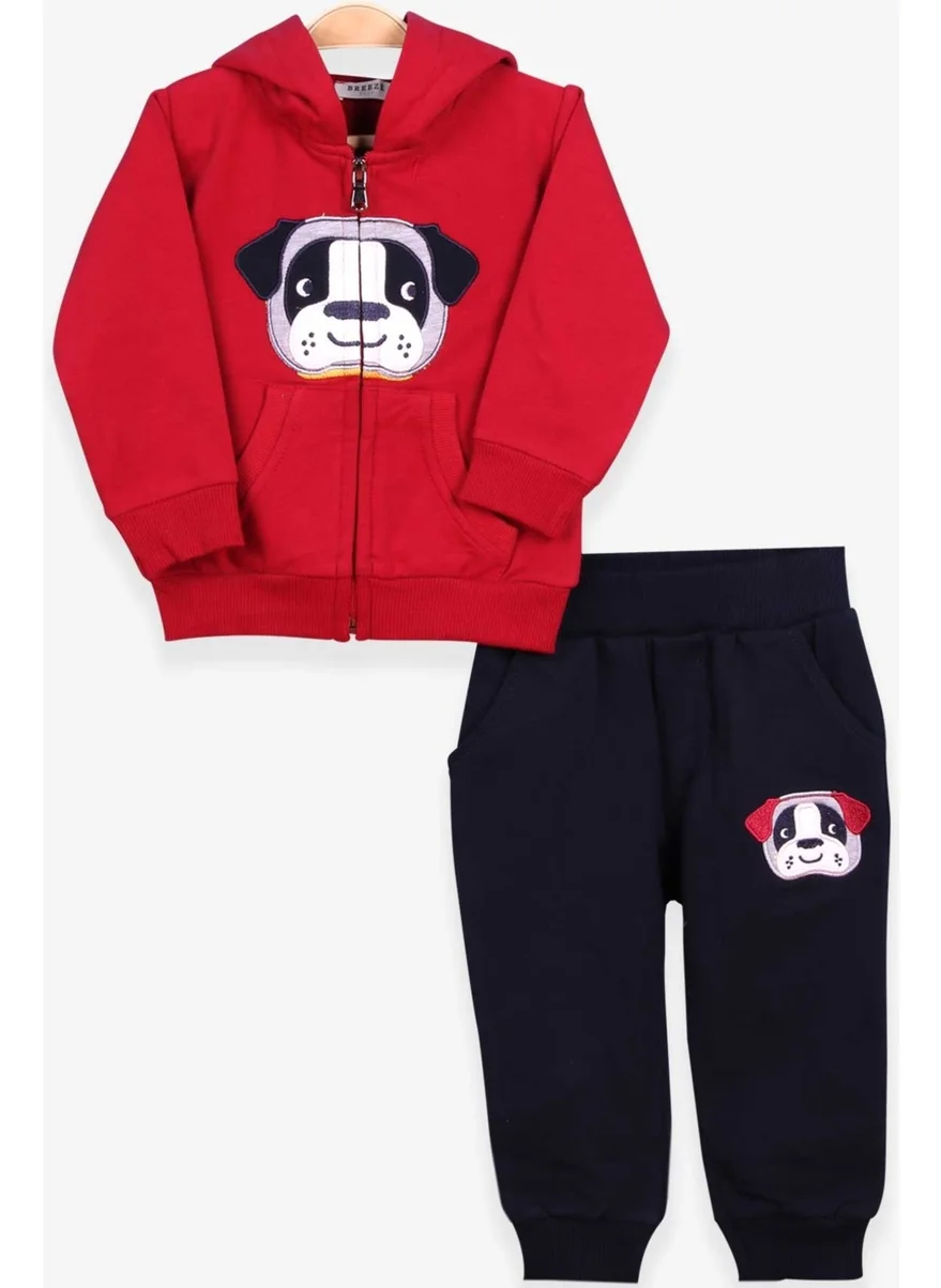 Breeze Boys Tracksuit Set with Dog Embroidery Claret Red (1-4 Ages)
