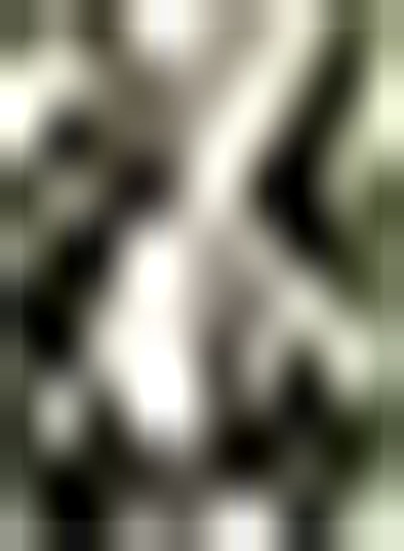 GGOOT 20Stück Annona Samen Zuckerapfel Fruchtsamen Zum Pflanzen der Haut natürliche Gesundheit Soursop Früchte dekorativer Garten Leicht zu pflegen - Image 1