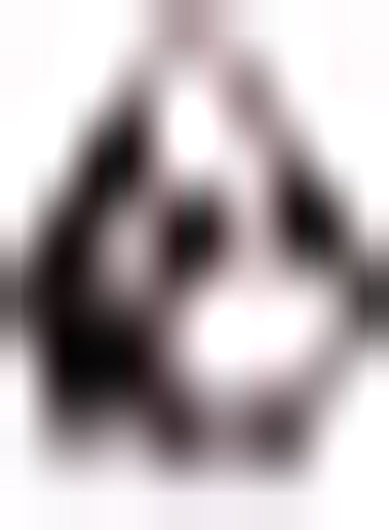 GGOOT 20Stück Annona Samen Zuckerapfel Fruchtsamen Zum Pflanzen der Haut natürliche Gesundheit Soursop Früchte dekorativer Garten Leicht zu pflegen - Image 3