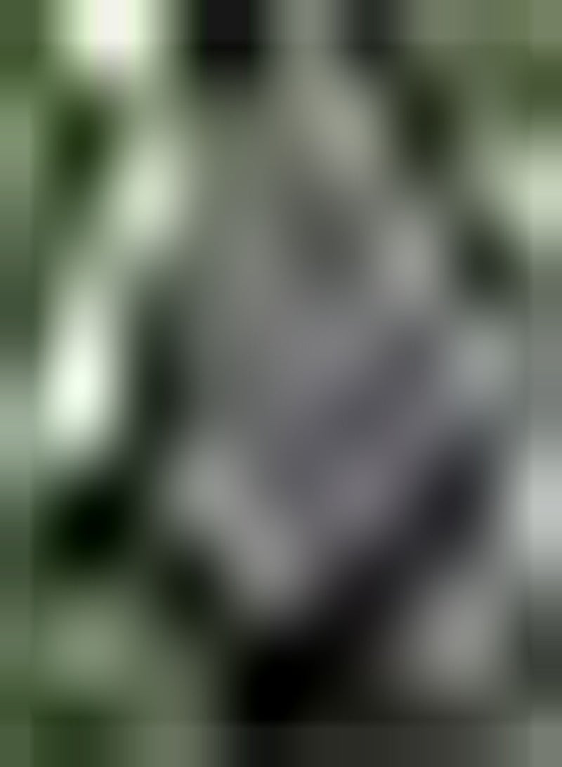 GGOOT 20Stück Annona Samen Zuckerapfel Fruchtsamen Zum Pflanzen der Haut natürliche Gesundheit Soursop Früchte dekorativer Garten Leicht zu pflegen - Image 2