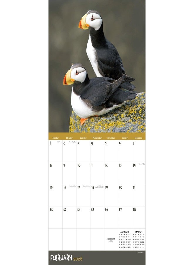TF Publishing 2026 Wild Wall Calendar - Large Grids for Appointments and Scheduling - Vertical Monthly Wall Calendar 2026 with Premium Gloss Paper for Home and Office Organization - 12in x 12in - Image 2
