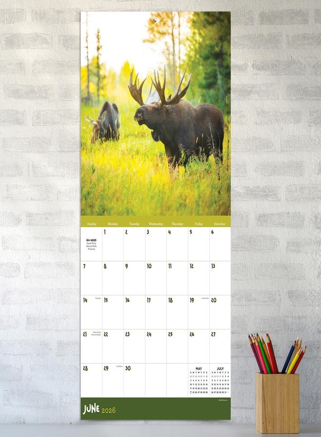 TF Publishing 2026 Wild Wall Calendar - Large Grids for Appointments and Scheduling - Vertical Monthly Wall Calendar 2026 with Premium Gloss Paper for Home and Office Organization - 12in x 12in - Image 4