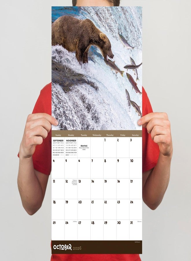 TF Publishing 2026 Wild Wall Calendar - Large Grids for Appointments and Scheduling - Vertical Monthly Wall Calendar 2026 with Premium Gloss Paper for Home and Office Organization - 12in x 12in - Image 5
