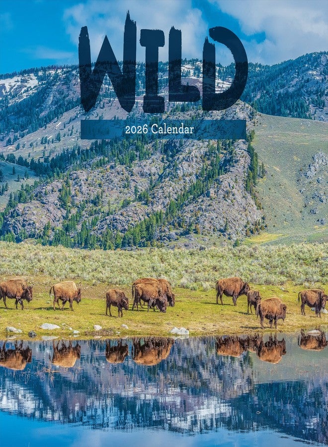 TF Publishing 2026 Wild Wall Calendar - Large Grids for Appointments and Scheduling - Vertical Monthly Wall Calendar 2026 with Premium Gloss Paper for Home and Office Organization - 12in x 12in - Image 1