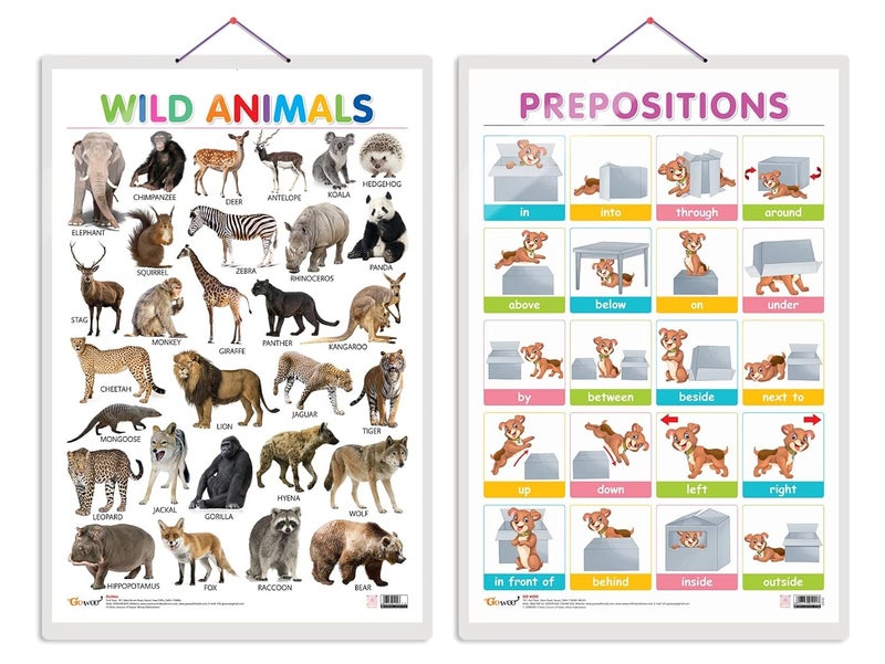 GoWoo Set of 2 Wild Animals and PREPOSITIONS Early Learning Educational Charts for Kids | 20"X30" inch |Non-Tearable and Waterproof | Double Sided Laminated ... Kindergarten and Nursery Students - Image 1