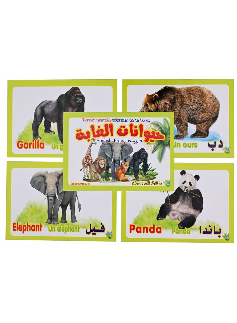 Wild Animal Cards  - Image 1