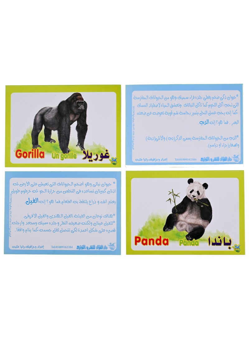Wild Animal Cards  - Image 2