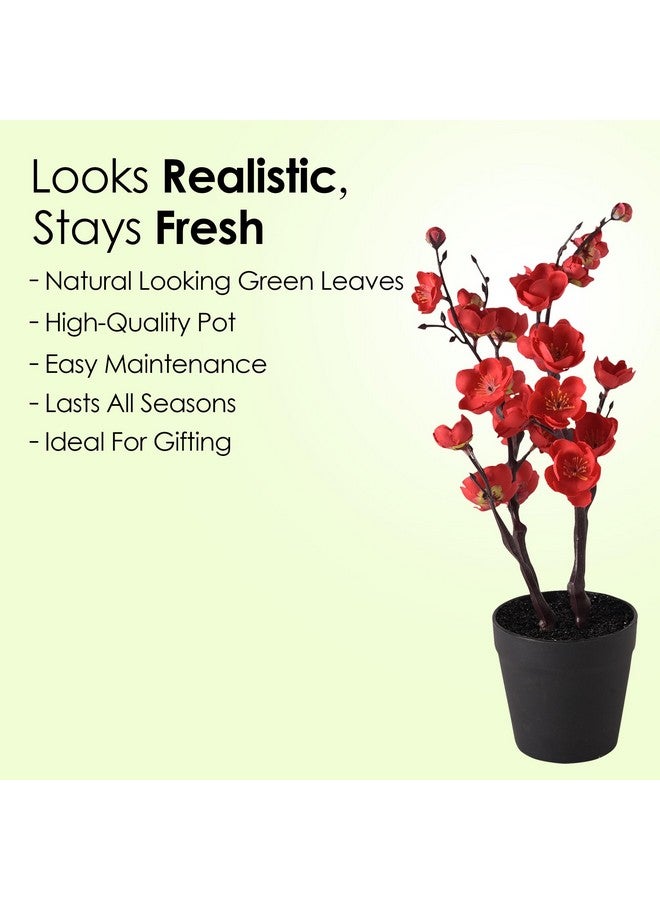 هومستيك نبات صناعي|زهور صناعية للزينة|نباتات لديكور المكتب|وعاء زهور صناعية للزينة|نباتات ذات مظهر طبيعي|زهرتي برقوق صغيرتين متشعبتين|متعدد الألوان - Image 3