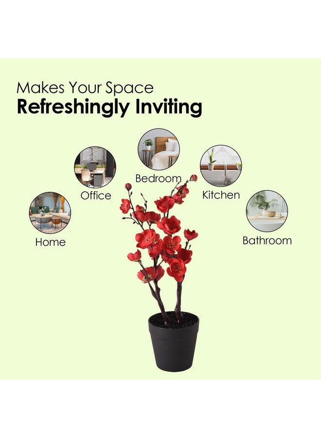 هومستيك نبات صناعي|زهور صناعية للزينة|نباتات لديكور المكتب|وعاء زهور صناعية للزينة|نباتات ذات مظهر طبيعي|زهرتي برقوق صغيرتين متشعبتين|متعدد الألوان - Image 4